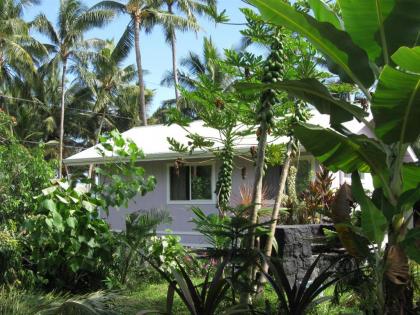 The Dolphin Cottage at Kehena Beach - image 12