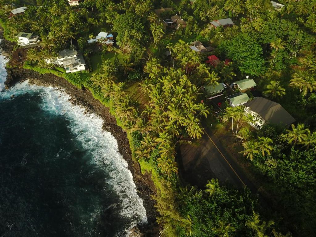 The Dolphin Cottage at Kehena Beach - image 2