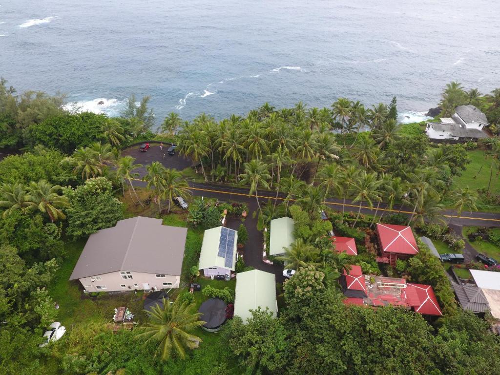 Oceanfront Cottage Near the Kalapana Lava Flows - main image