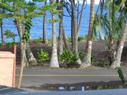 Oceanfront Cottage Near the Kalapana Lava Flows - image 10