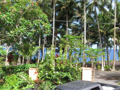 Oceanfront Cottage Near the Kalapana Lava Flows - image 14