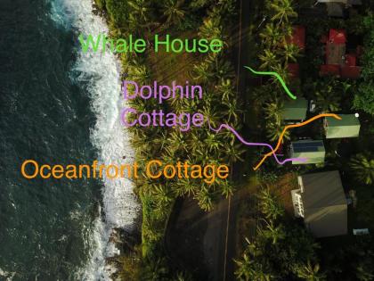 Oceanfront Cottage Near the Kalapana Lava Flows - image 2