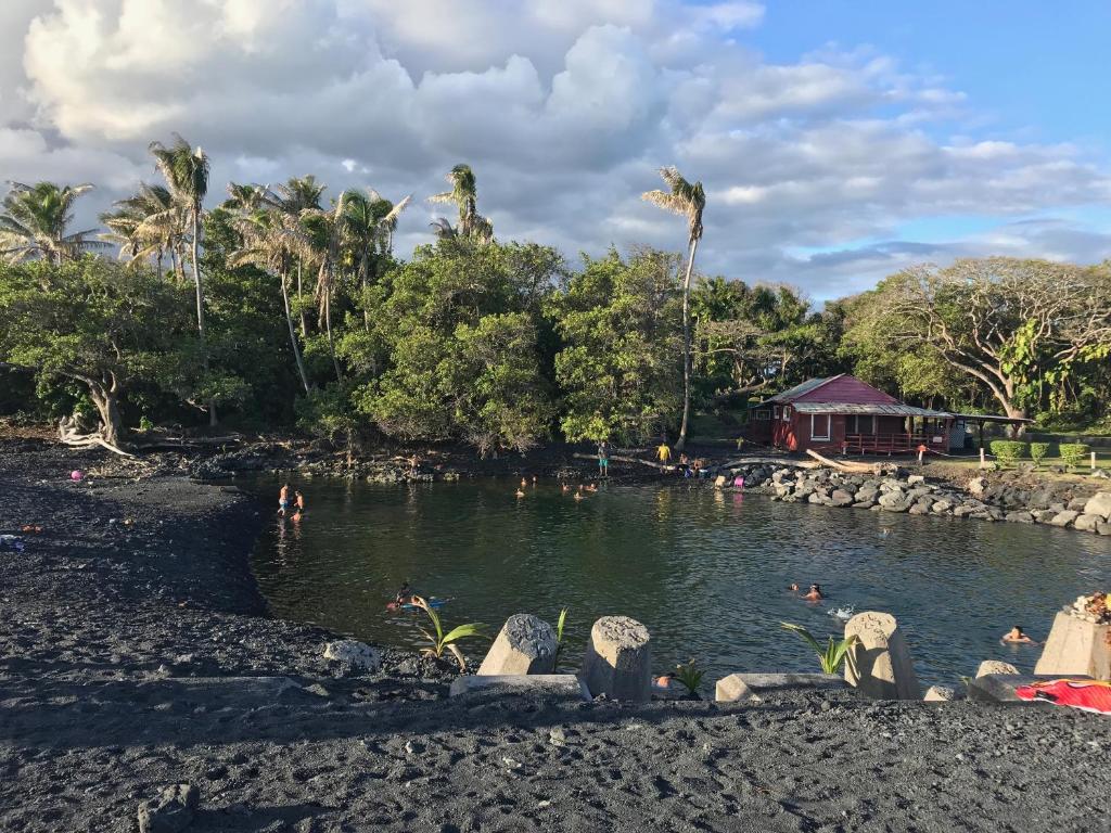 Oceanfront Cottage Near the Kalapana Lava Flows - image 6