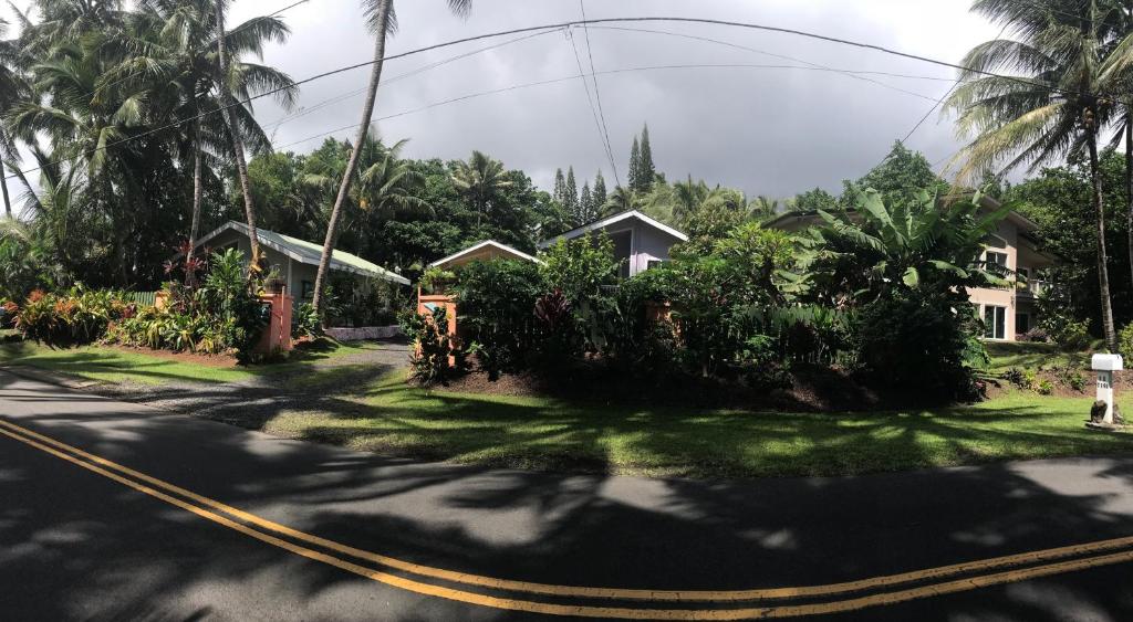 Oceanfront Cottage Near the Kalapana Lava Flows - image 7