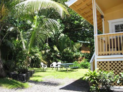 Oceanfront Cottage Near the Kalapana Lava Flows - image 8