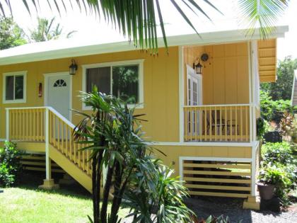 Oceanfront Cottage Near the Kalapana Lava Flows - image 9