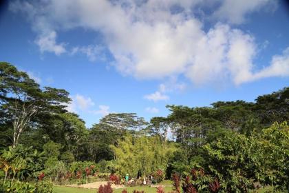 Hawaiian Sanctuary Retreat Center - image 11