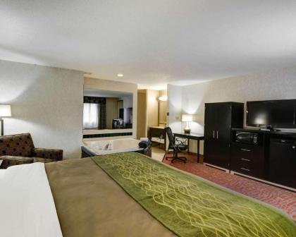 Comfort Inn Painesville - image 12