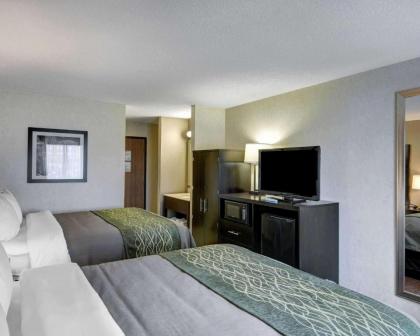 Comfort Inn Painesville - image 15