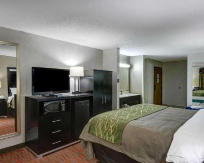 Comfort Inn Painesville - image 7