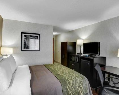 Comfort Inn Painesville - image 9