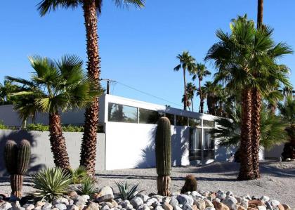 Twenty Three Palms - image 5