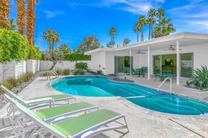 Twin Palms Modern - image 18