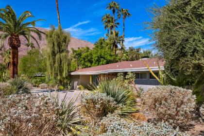 Palm Springs Perfection - image 11