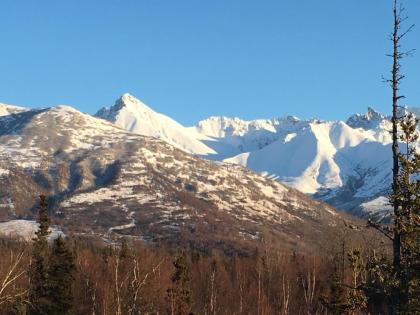 Alaska Knotty Pine B&B - image 10