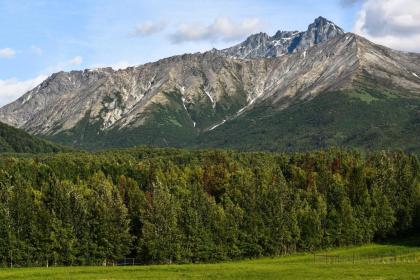 Legacy Mountain Lodge 40-Acre Ranch with Views! - image 6