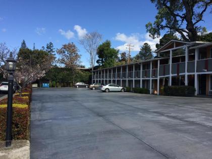 Oak Motel - image 2