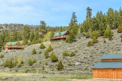 Scenic Panguitch Lake Cabin - image 3