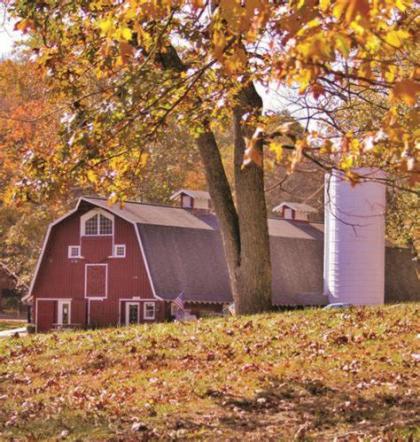 Wilstem Cabins Indiana