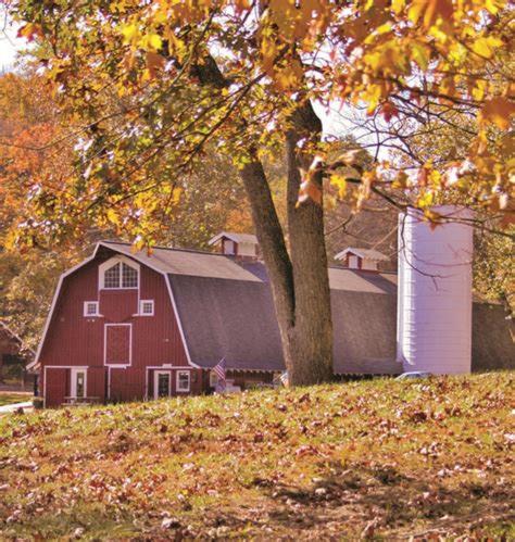 Wilstem Cabins - main image