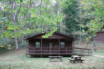 Wilstem Cabins - image 7