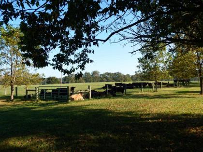 Fairfield Farm Cottage - image 15