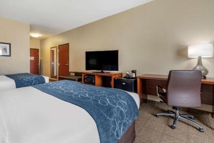 Comfort Inn & Suites Paris - image 11