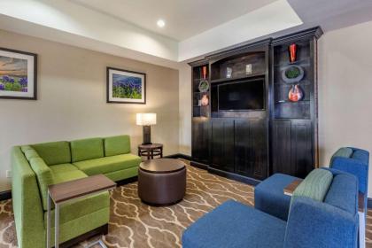 Comfort Inn & Suites Paris - image 3