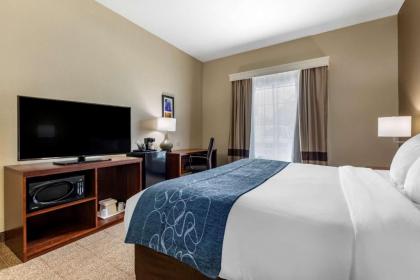 Comfort Inn & Suites Paris - image 5