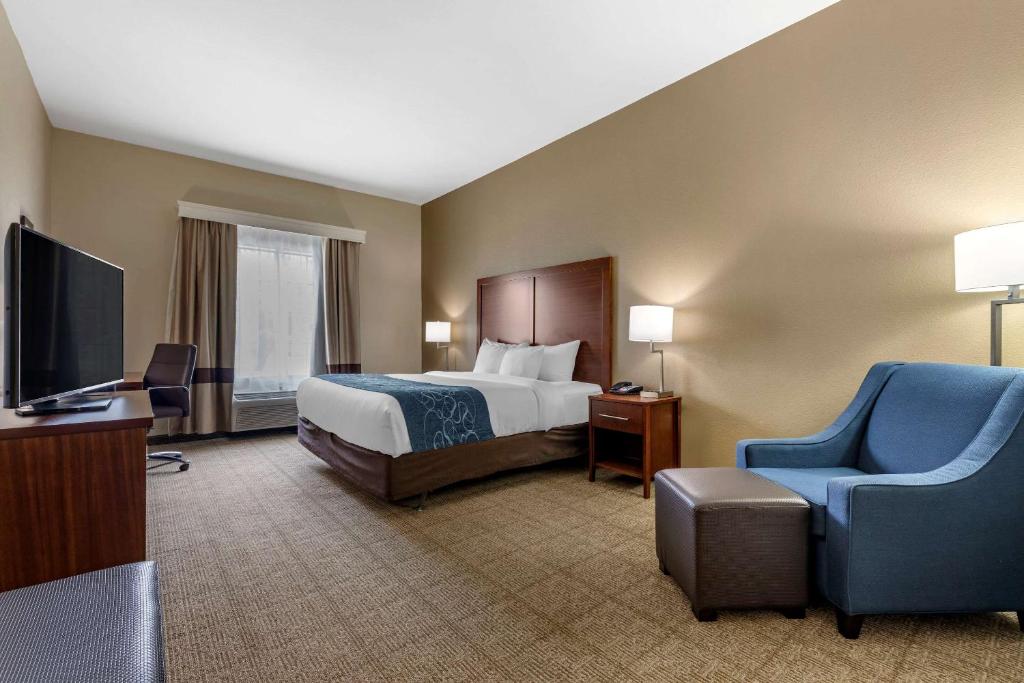 Comfort Inn & Suites Paris - image 6