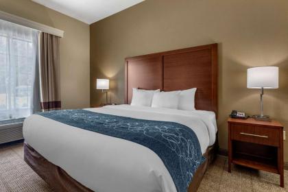 Comfort Inn & Suites Paris - image 7