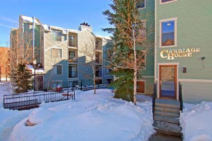 Carriage House Condominiums by All Seasons Resort Lodging - image 4