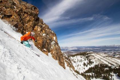 Bluebird Day at Carriage House by Casago - image 2