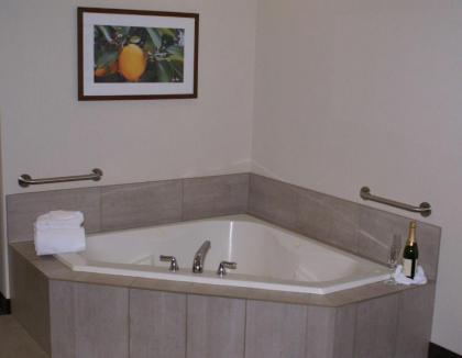 Best Western Premier Pasco Inn and Suites - image 6