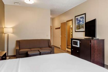 Comfort Inn & Suites Paw Paw - image 7