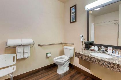 Comfort Inn Payson - image 12