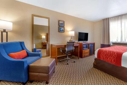 Comfort Inn Payson - image 14