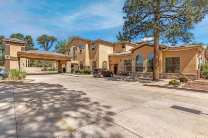 Comfort Inn Payson - image 3