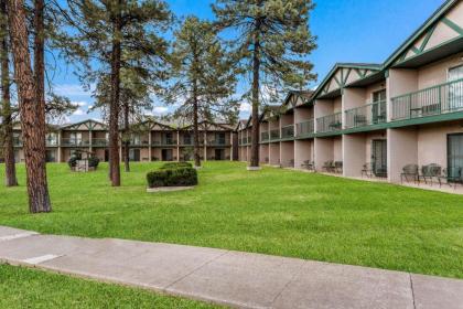 Quality Inn Payson - image 8