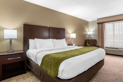 Comfort Inn Pearl - image 10