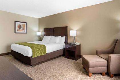 Comfort Inn Pearl - image 12