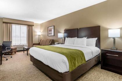 Comfort Inn Pearl - image 13