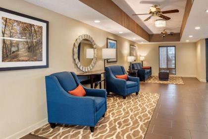 Comfort Inn Pearl - image 7