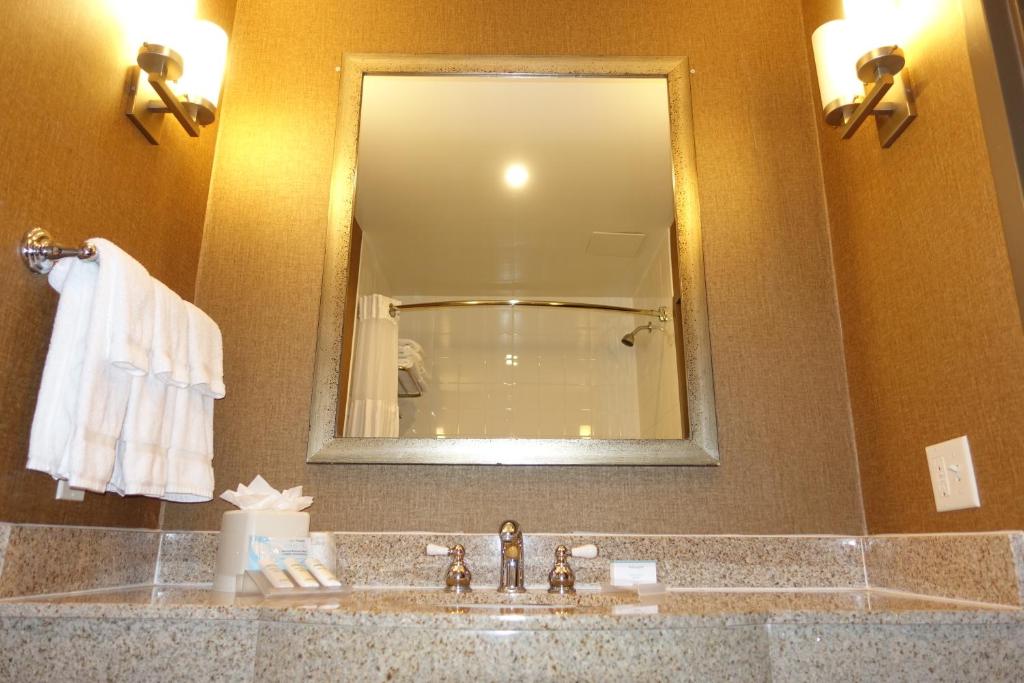 Hilton Garden Inn Houston-Pearland - image 3