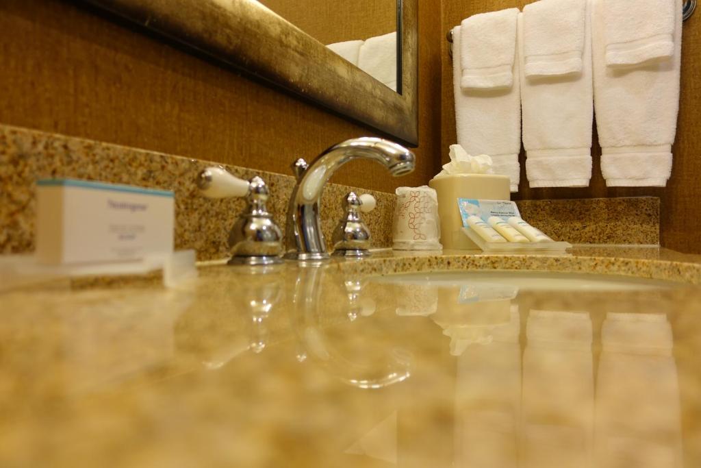 Hilton Garden Inn Houston-Pearland - image 4