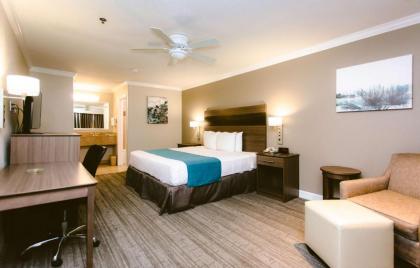 Best Western Pearland Inn - image 9