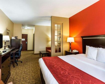 Comfort Suites Pearland - image 12