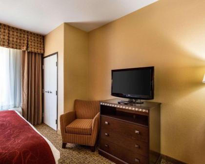 Comfort Suites Pearland - image 13