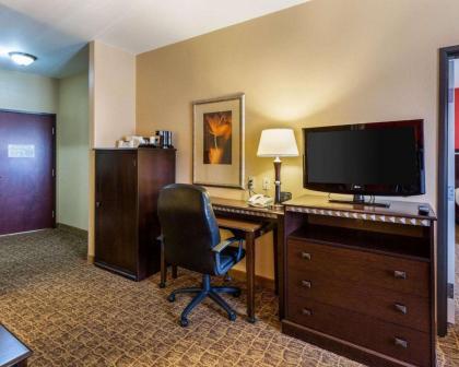 Comfort Suites Pearland - image 14