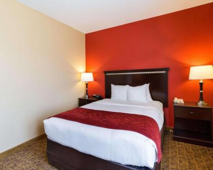 Comfort Suites Pearland - image 15